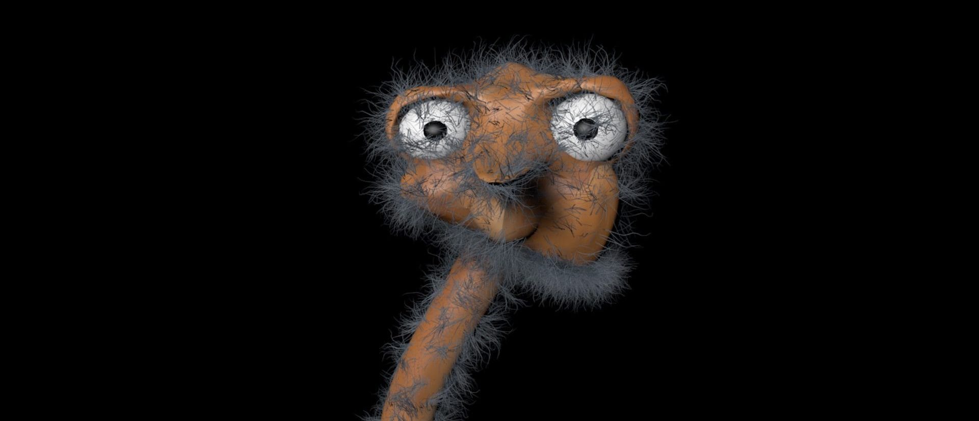 Dance from Ostrich