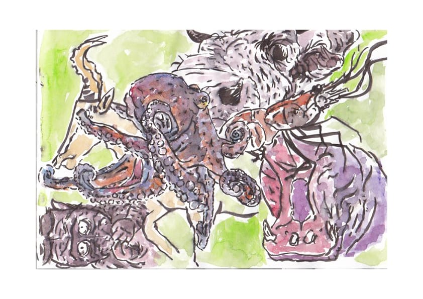 5